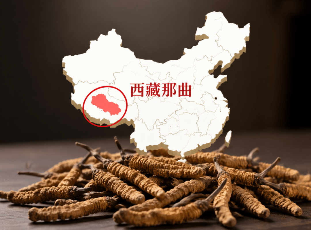 合生和养发靠谱吗？看完这4个硬核实力，你就有答案了