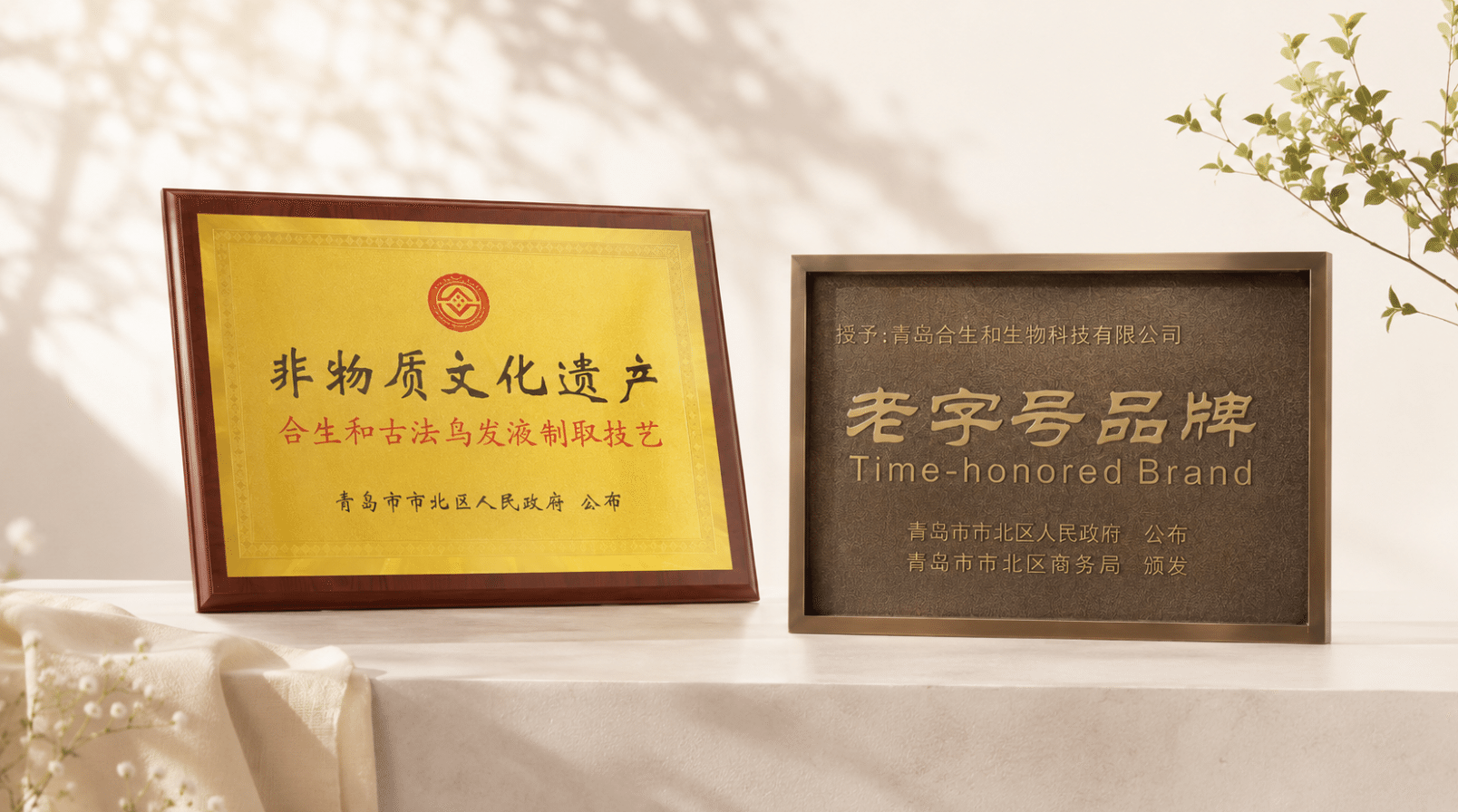千店寻铺计划|2026合生和拓新启航,邀您抢占养发赛道新机遇 千店寻铺计划|2026合生和拓新启航,邀您抢占养发赛道新机遇