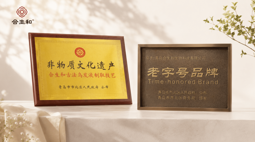 合生和｜传承东方智慧 践行非遗养护
